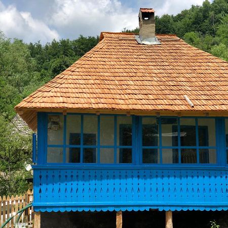 Casa Albastra Villa Baile Olanesti Bagian luar foto