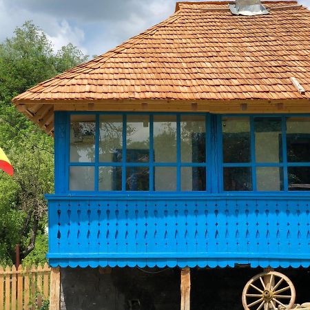 Casa Albastra Villa Baile Olanesti Bagian luar foto