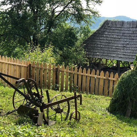Casa Albastra Villa Baile Olanesti Bagian luar foto