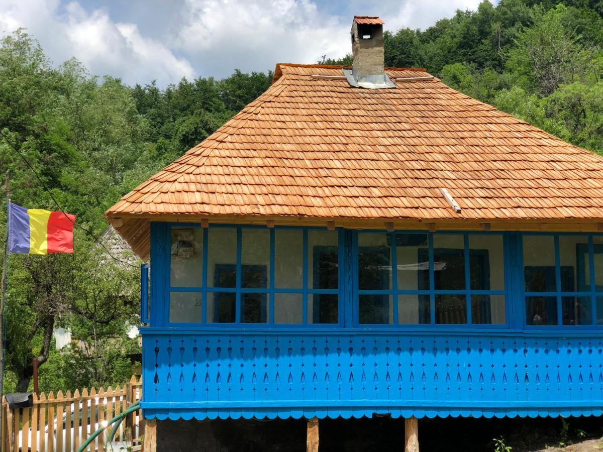 Casa Albastra Villa Baile Olanesti Bagian luar foto
