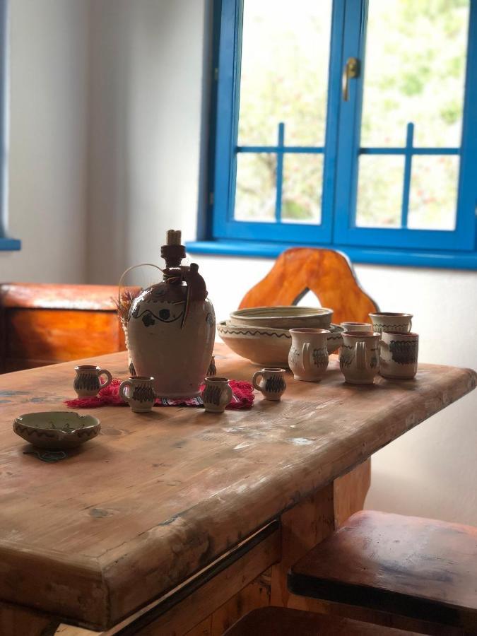 Casa Albastra Villa Baile Olanesti Bagian luar foto