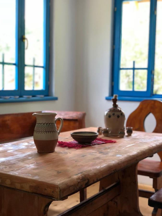 Casa Albastra Villa Baile Olanesti Bagian luar foto