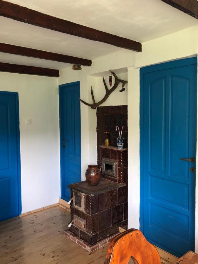 Casa Albastra Villa Baile Olanesti Bagian luar foto