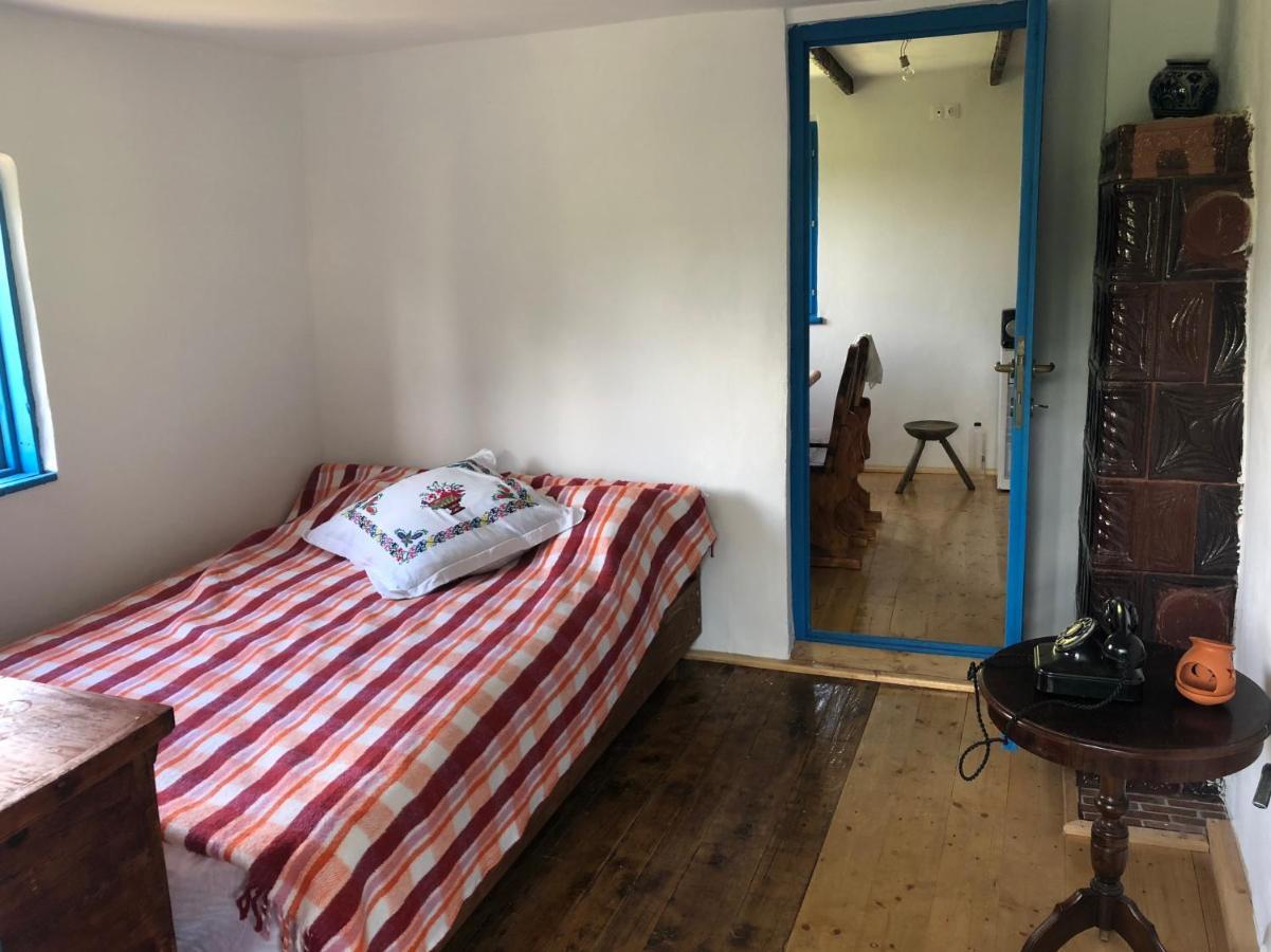 Casa Albastra Villa Baile Olanesti Bagian luar foto