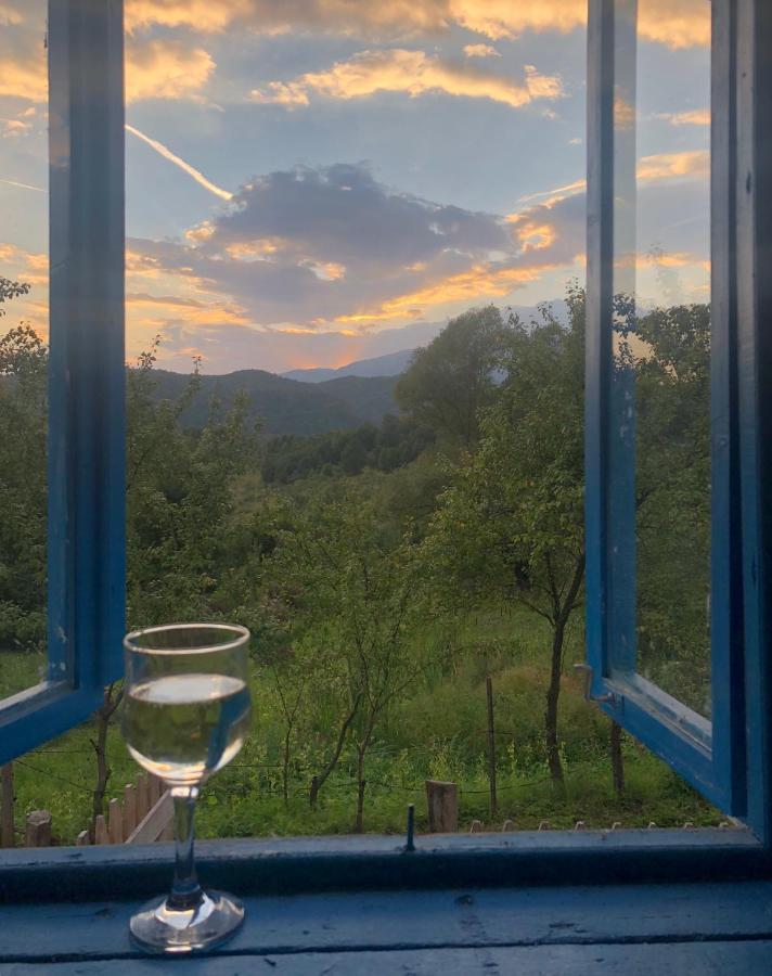 Casa Albastra Villa Baile Olanesti Bagian luar foto