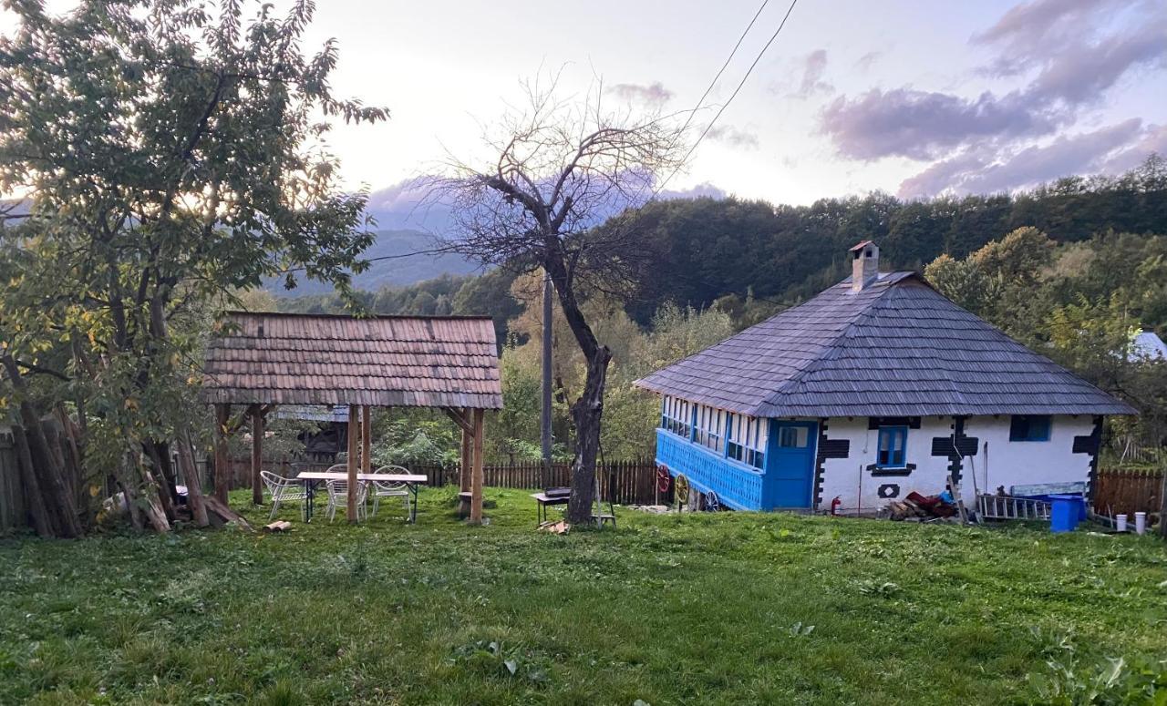 Casa Albastra Villa Baile Olanesti Bagian luar foto